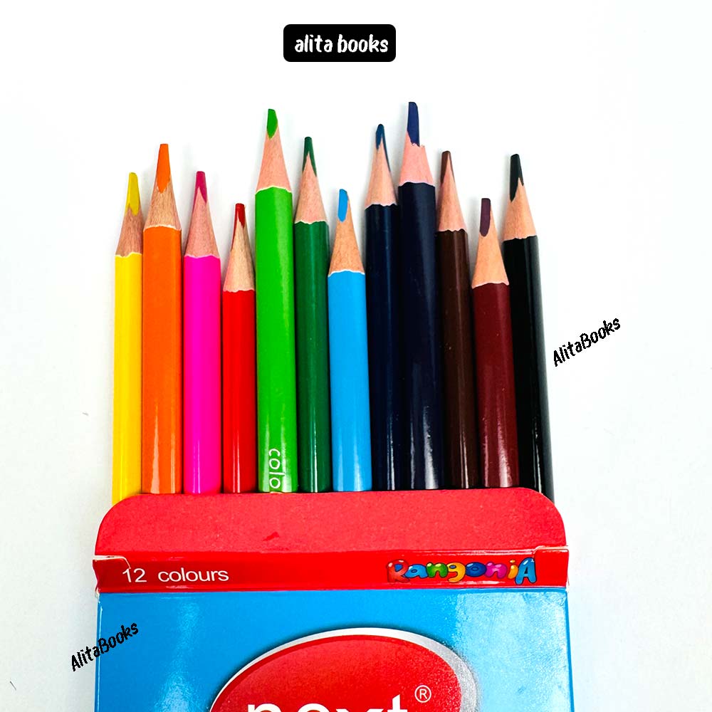 Pack of 12 Large - Color Pencils